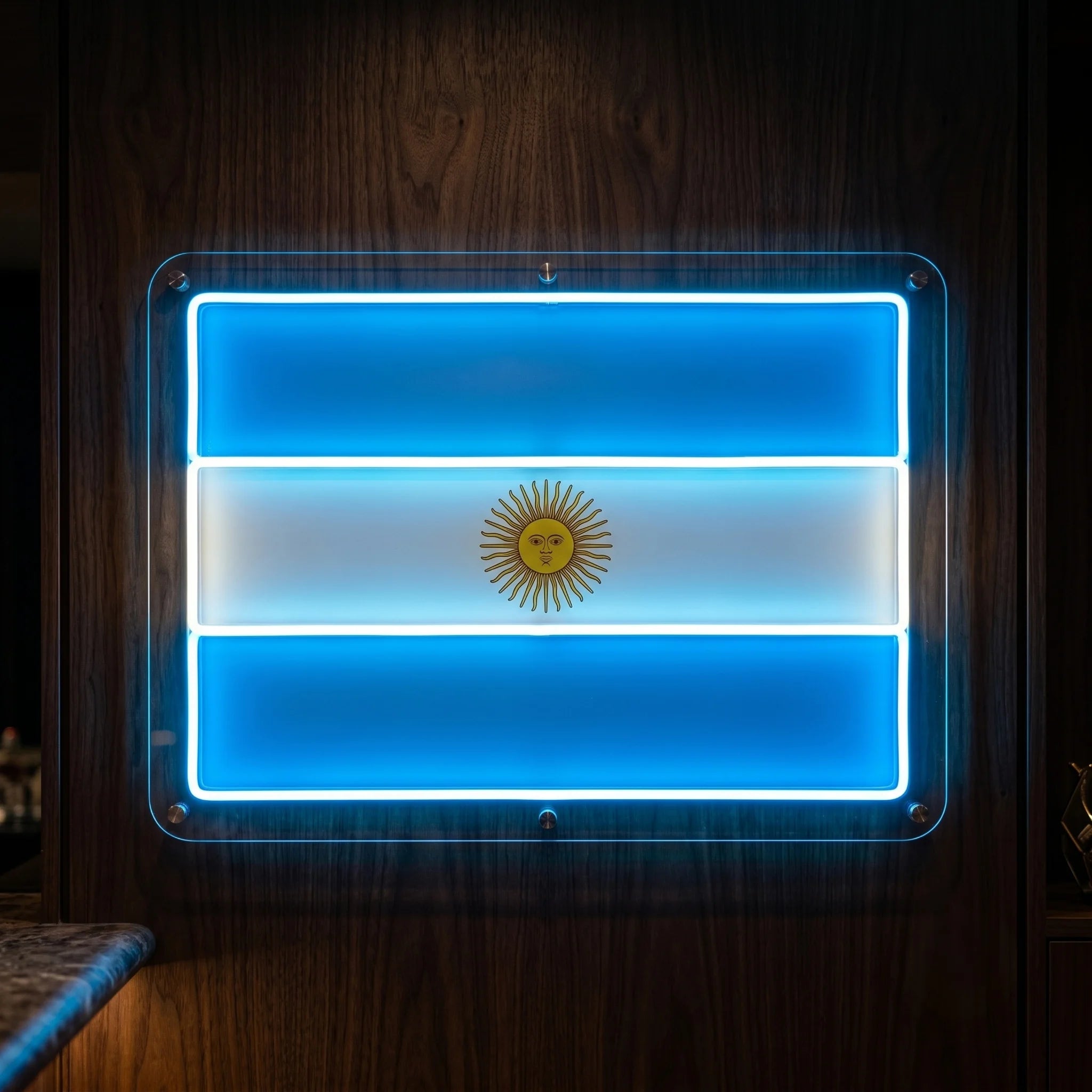 Argentina LED neon sign featuring illuminated blue and white flag panel with Sun of May emblem