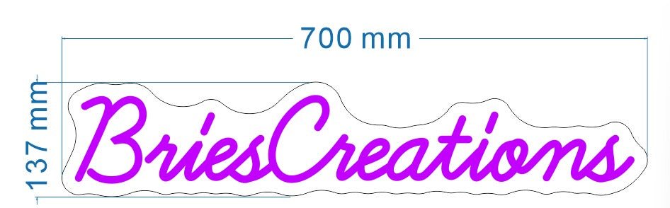 BriesCreations Custom Neon Sign - Light Your Way