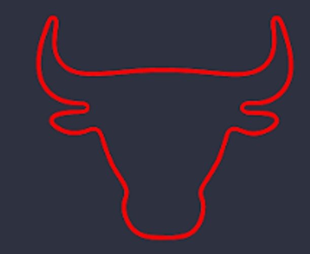 Bull Head Custom Neon Sign - Light Your Way