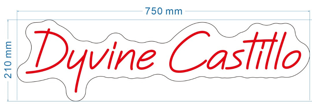 Dyvine Castillo Custom Neon Sign