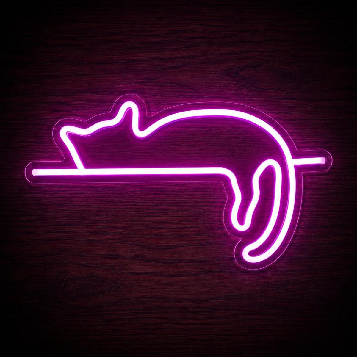 Lazy Cat LED Neon Sign featuring a bright pink outline of a lounging cat on clear acrylic backing.