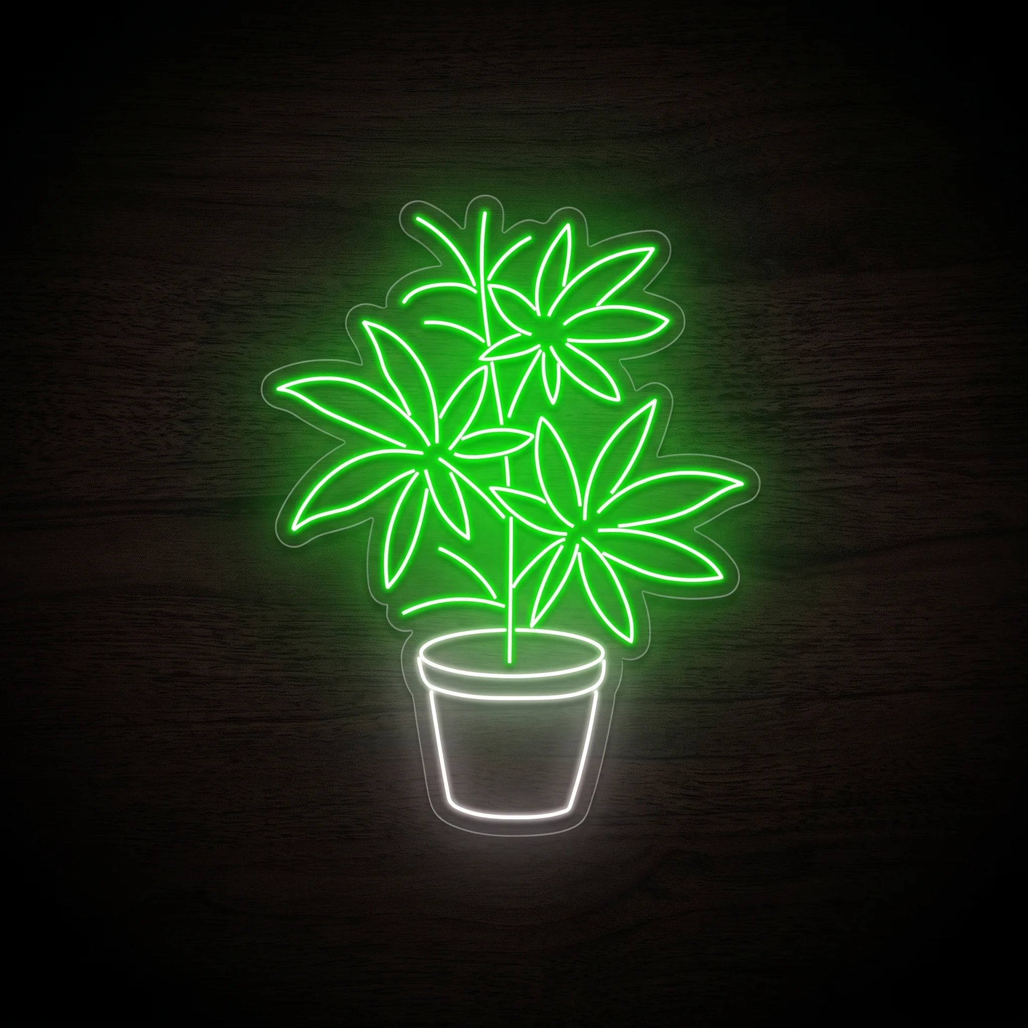Green potted cannabis plant LED neon sign with a white planter mounted on a precision-cut clear acrylic backing.