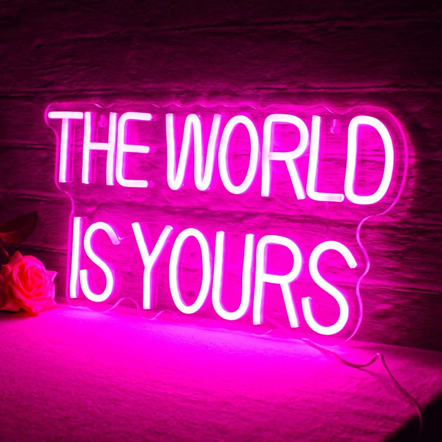 "THE WORLD IS YOURS" Neon Sign