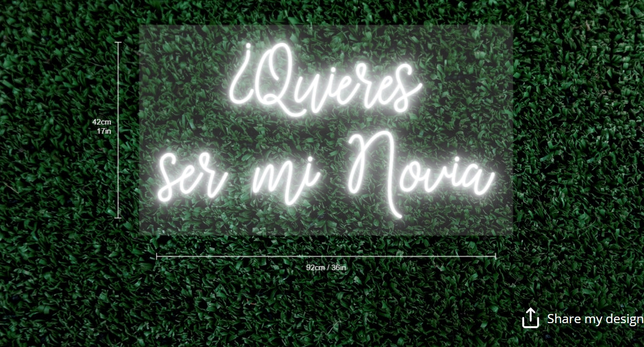 Quieres ser mi Novia Custom Neon Sign