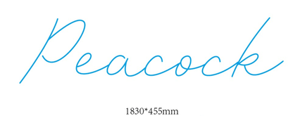 Peacock Custom Neon Sign - Light Your Way