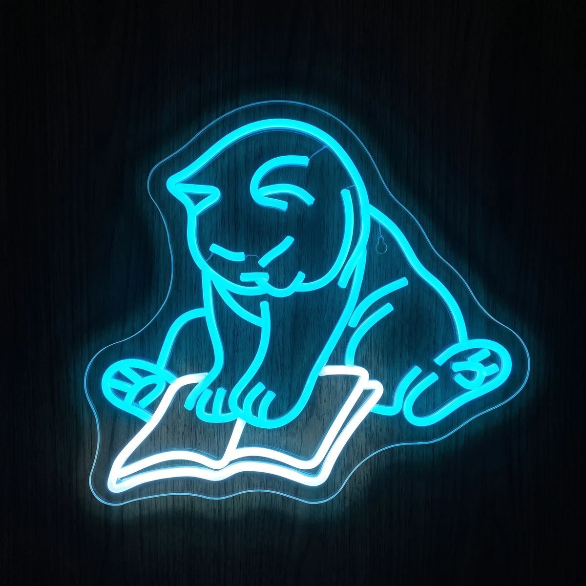 Reading cat LED neon sign with bright blue cat and white open book on clear acrylic backing.