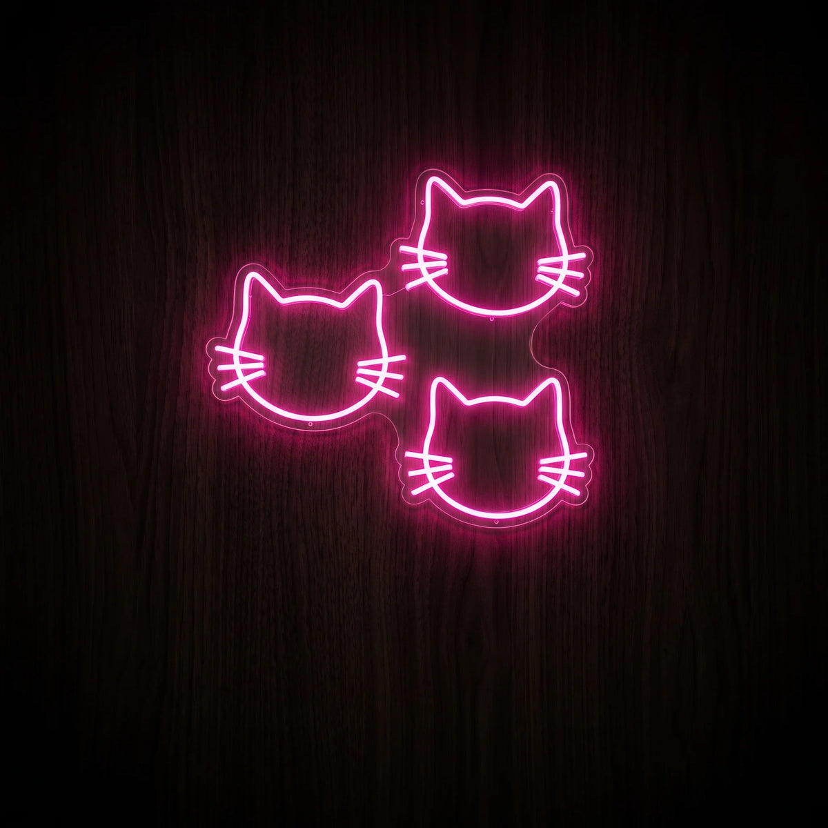 Triple Kitty Faces LED neon sign featuring three bright pink cat face outlines with ears and whiskers.