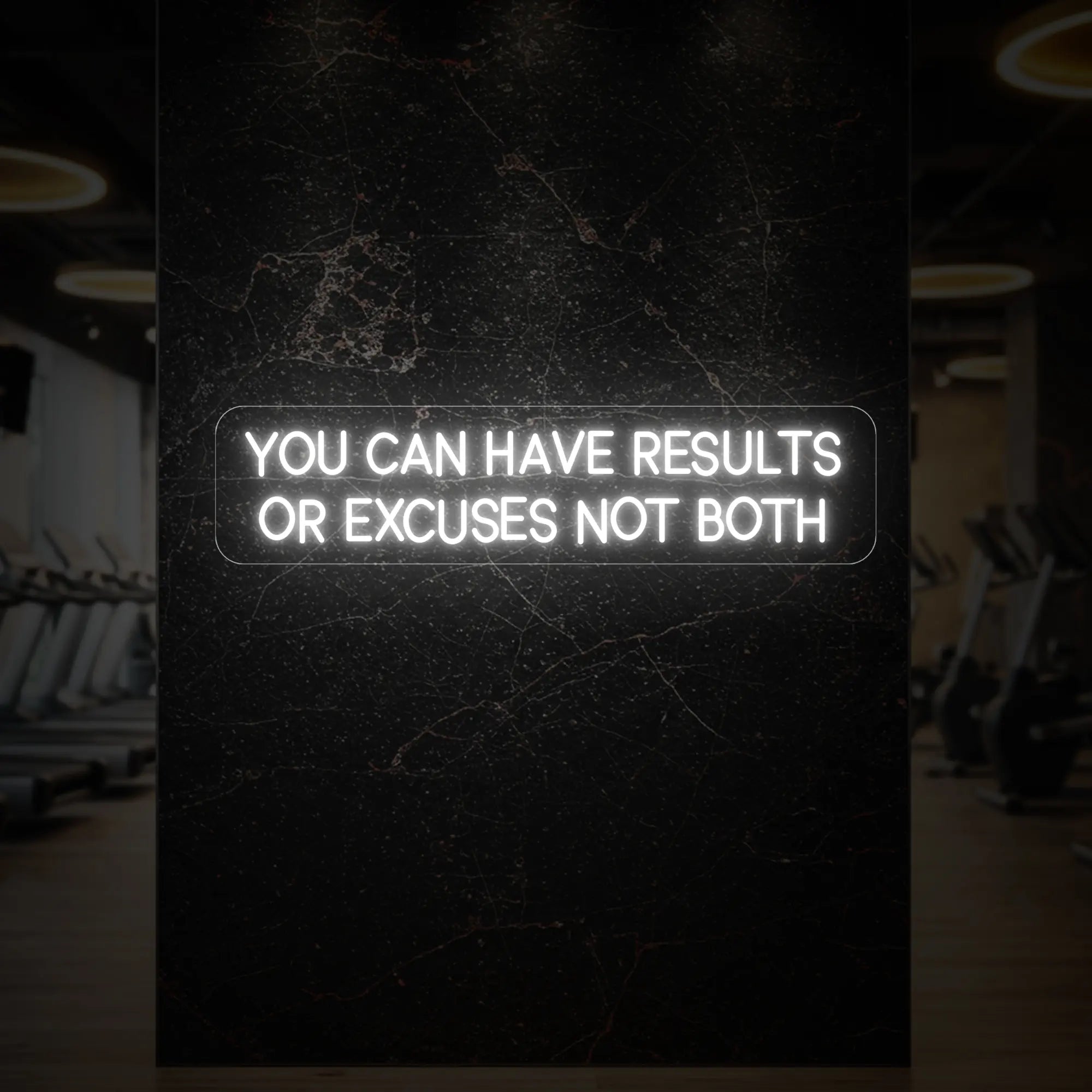  'YOU CAN HAVE RESULTS OR EXCUSES NOT BOTH' neon sign glowing in cool white against a styled interior wall.