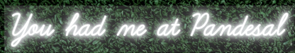 You had me at Pandesal Custom Neon Sign (Single Color)
